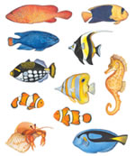 Fish Wall Stickers